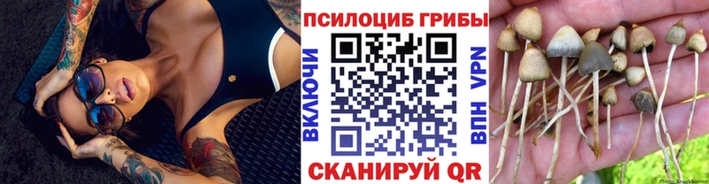 Псилоцибиновые грибы ЛСД  Городовиковск 